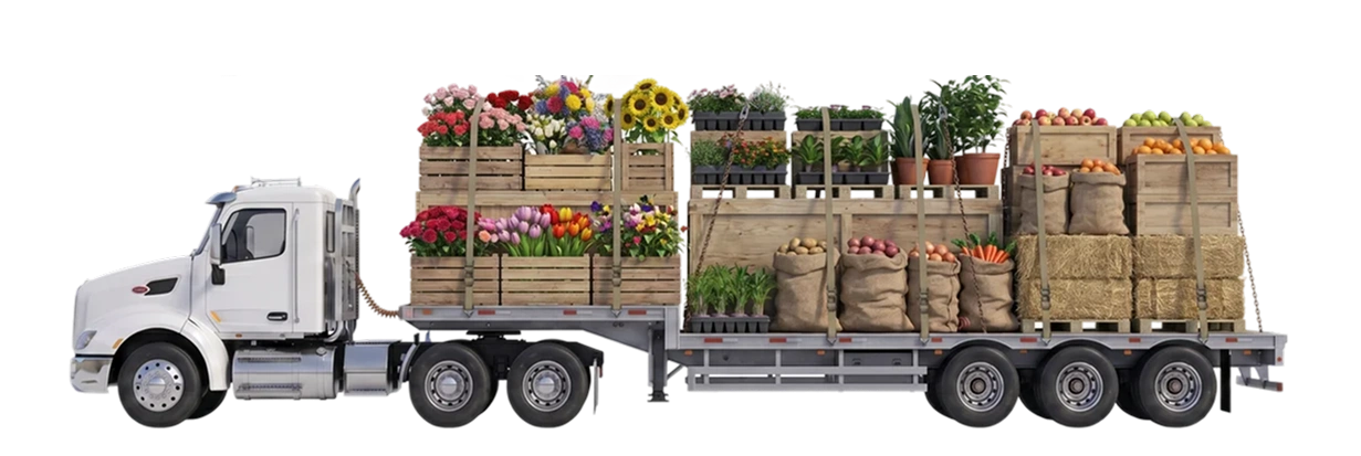 Floral & Agriculture https://www.igtfreight.com Floral & Agriculture image image