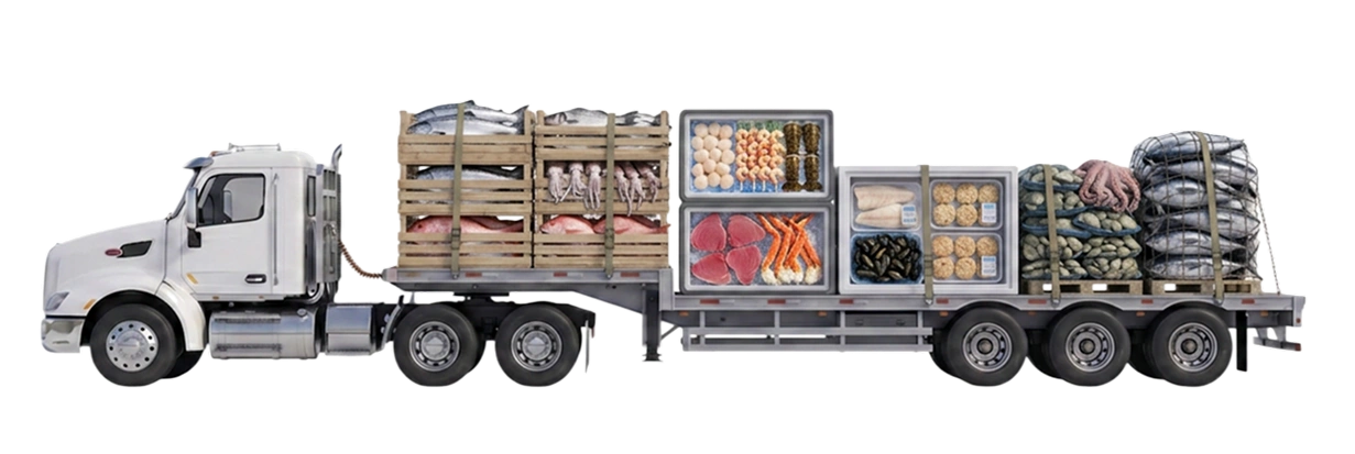 Seafood https://www.igtfreight.com Seafood image image